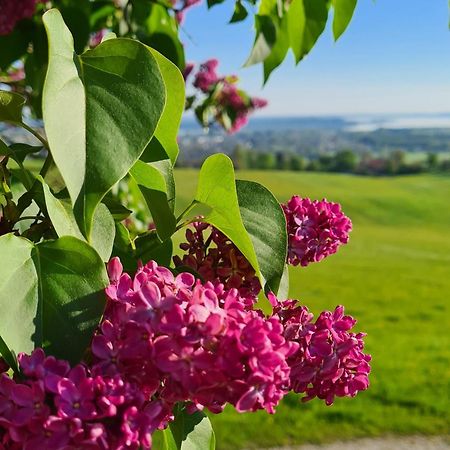 Villa Schleipfnerhof Urlaub Auf Dem Bauernhof Bernau am Chiemsee Exterior foto