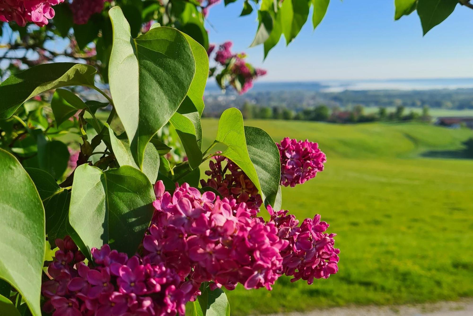 Villa Schleipfnerhof Urlaub Auf Dem Bauernhof Bernau am Chiemsee Exterior foto